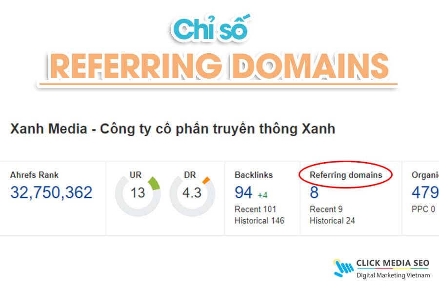 Xem Referring domains ở đâu