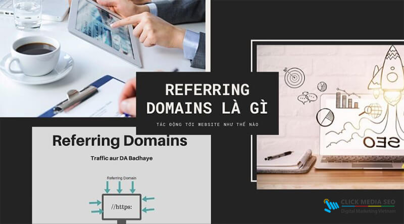 Referring domains là gì
