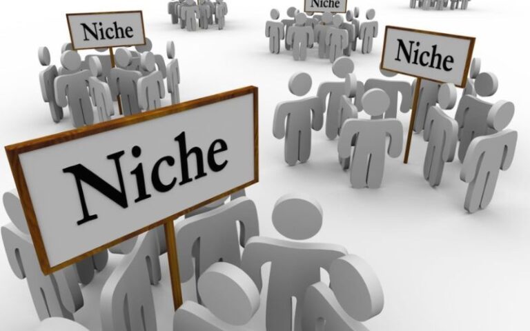 Niche Site là gì? 4 hình thức kiếm tiền từ Niche Site