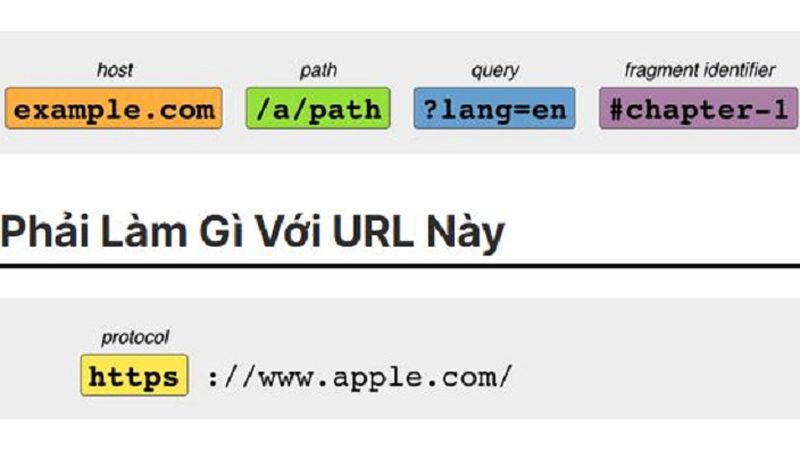 nhập url la gì